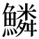 鱗
