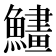 𩻽