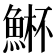 𮫾