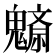 𩴚