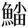 𩸛