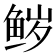 𮬝