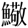 𩼃