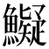 𩼨