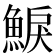 𩸭