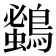 𪄰