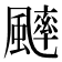 𩘱