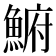 𩸅