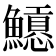𩼲