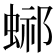 𧌴