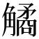 𧤾