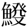 𩸿