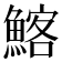 𩹃