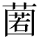 𮑆
