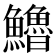 𩽈