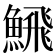 𩹉