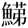 𩹋