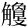 𧥎