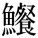 𩽐