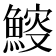 𩹔
