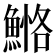 𩹕