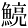 𩹗