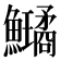 𩽗