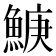𬵛