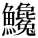 𩽝