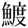 𬵟