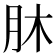 𦙣