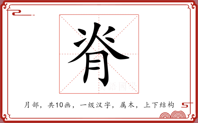 脊 脊