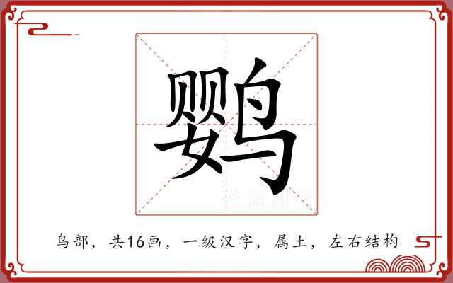 鹦