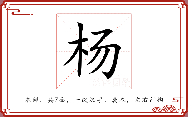 杨 杨