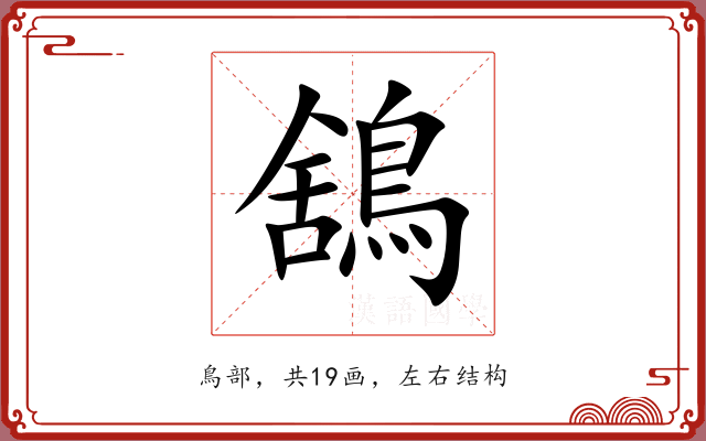 鵨