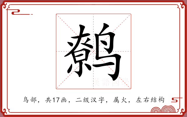 鹩