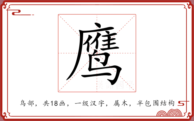 鹰 鹰