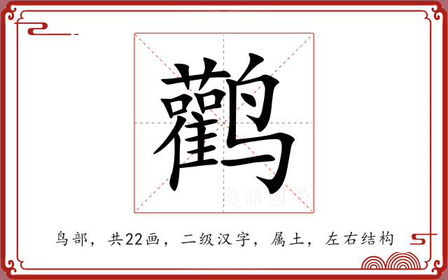 鹳 鹳