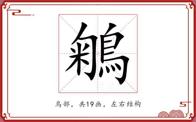 鵴