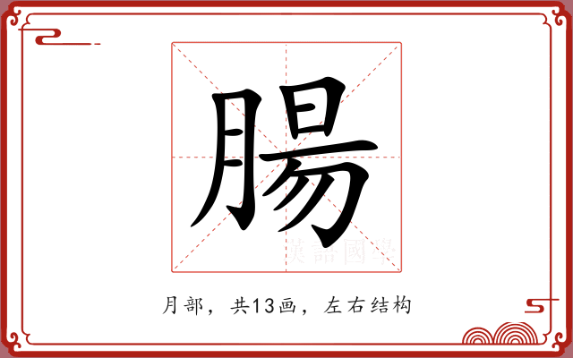 腸 腸