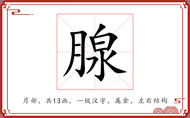 腺 腺