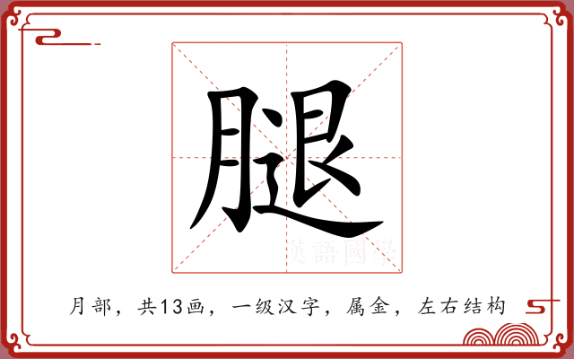 腿 腿