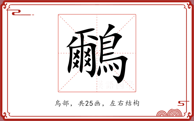 鸍