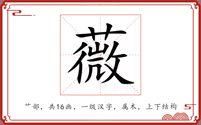 薇 薇