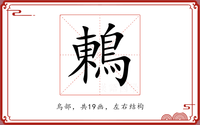鶇