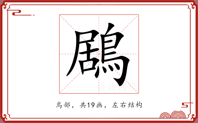 鶋 鶋