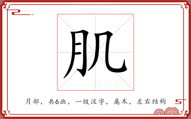 肌 肌