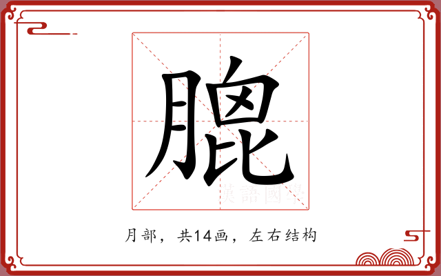 膍 膍