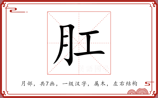 肛 肛