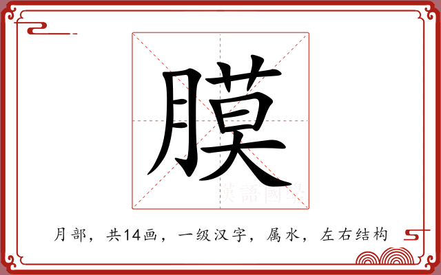膜 膜